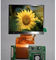 Module 3,5&quot; de LQ035NC111 Innolux TFT LCD avec le mode d'affichage transmissif