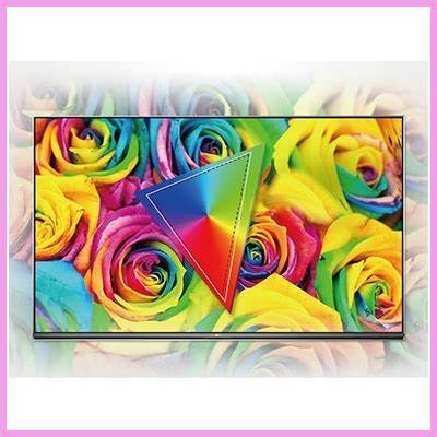 18.5'' TFT LCD Module BOE 1366*768 RGB DV185WHM-NM0 Pour ordinateur/POS/usage médical