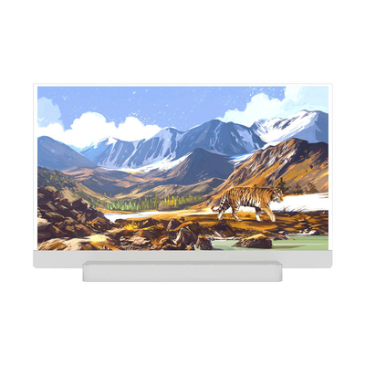 AMOLED LTPS 5.55' 720*1280 RGB interface MIPI SH1386 Module LCD pour appareil intelligent