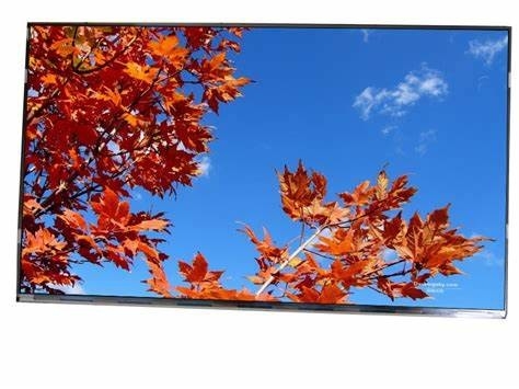 11.6' 1920*1080 Tianma FHD SFT TFT LVDS Module LCD avec le toucher